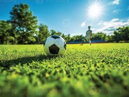 雷速体育使用流程示意图